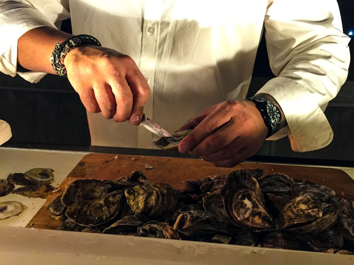 Oyster Garden – Ottawa 2017